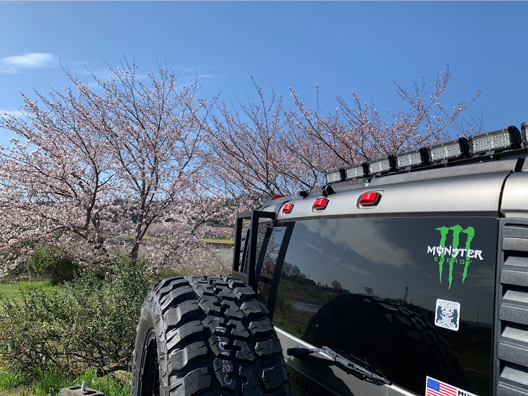 H2の3回目のワクチン接種・桜とコラボ・3〜4分咲き・牙狼 月虹の旅人に関するカスタム事例の投稿画像9枚目