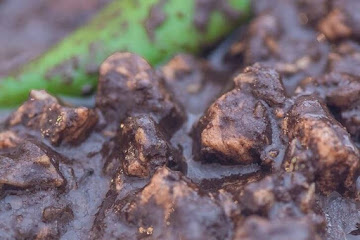 Pork Dinuguan Recipe