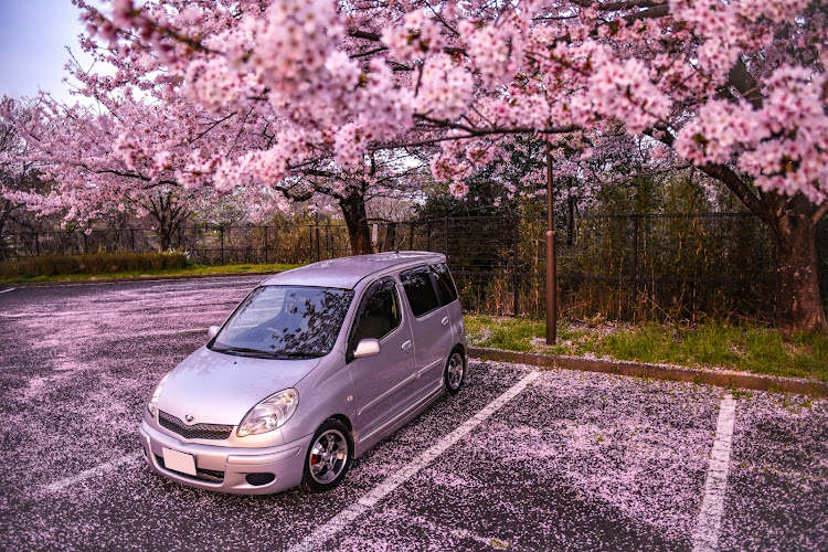 の投稿画像1枚目