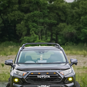 RAV4 MXAA54