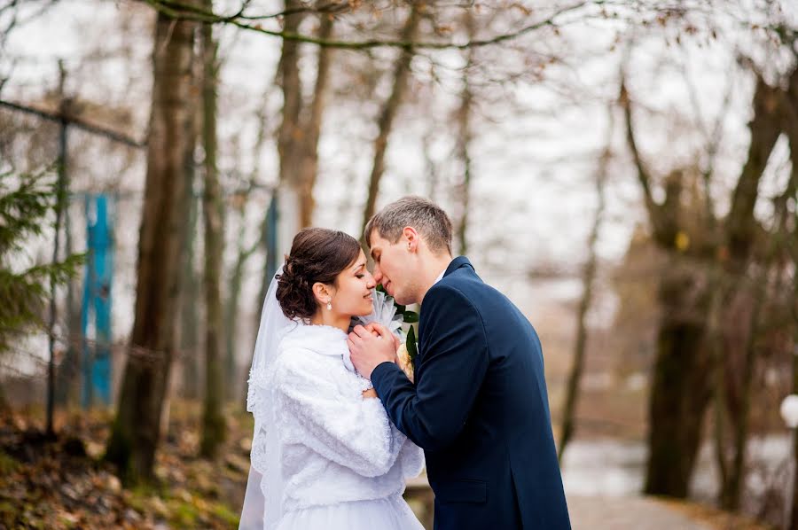 Photographe de mariage Olga Kharskaya (bezga767). Photo du 24 décembre 2015