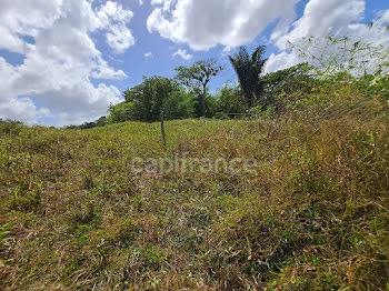 terrain à Montsinery Tonnegrande (973)