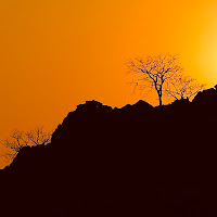 Tramonto Africano di 