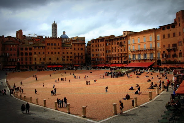 Siena in campo di bucefalo