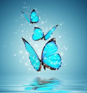 Butterfly Wallpapers screenshot 3