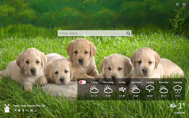 子犬犬の子犬の新しいタブ カスタマイズされた壁紙hd