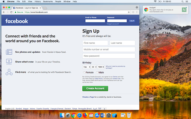 Alternative login pages on Facebook website.