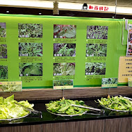 櫻の田野休閒養生館