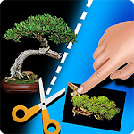 Cover Image of Скачать My Bonsai 1.0.9 APK