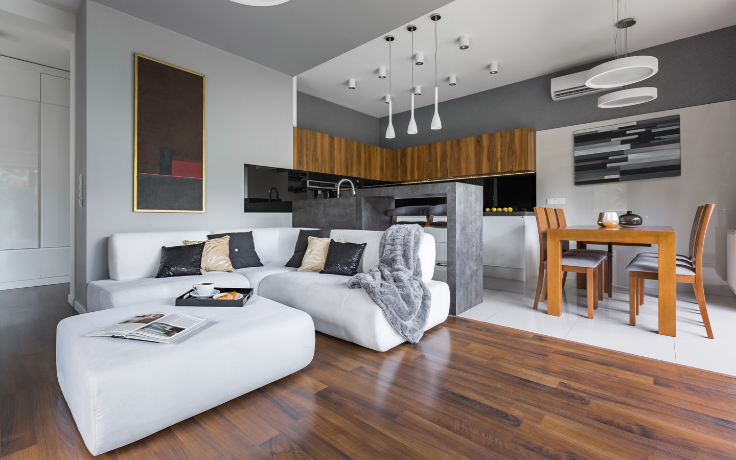 multi-functional apartment living room