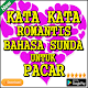 Download Kata Kata Romantis Bahasa Sunda Untuk Pacar For PC Windows and Mac 6.6