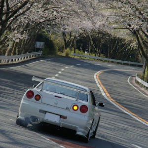 スカイライン GT-R BNR34