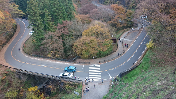 の投稿画像6枚目