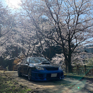 インプレッサ WRX STI GDB