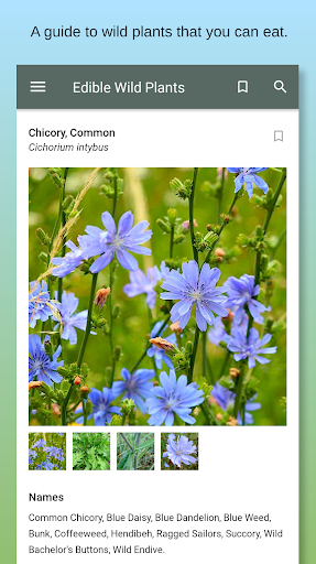 Screenshot Edible Wild Plants