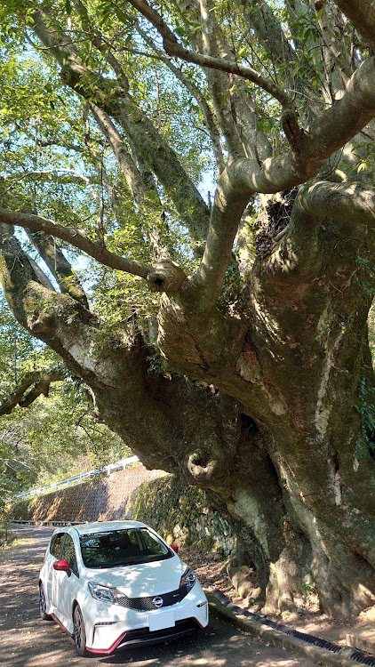 ノートのER34・佐賀・長崎に関するカスタム事例の投稿画像4枚目