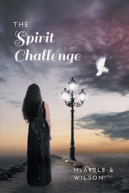 The Spirit Challenge cover