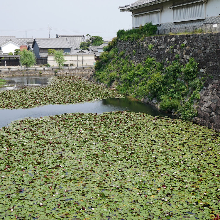 の投稿画像7枚目