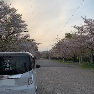 デイズルークス B21A