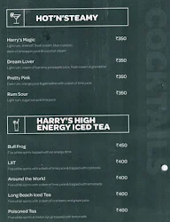 Harry's The Pub - Aditya Park menu 4
