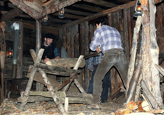 I taglialegna di Naldina Fornasari