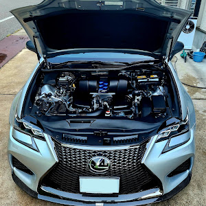 GS F URL10