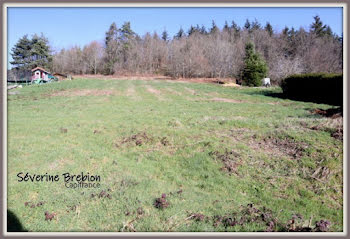 terrain à Chabreloche (63)