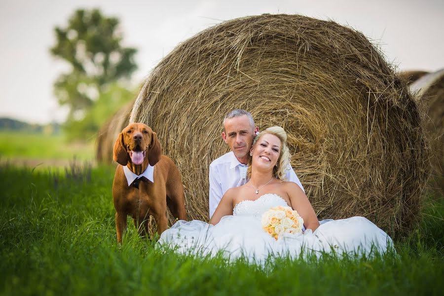 Photographe de mariage Mihály Udvardy Miskafotó (udvardy). Photo du 25 février 2019