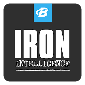 Iron Intelligence logo
