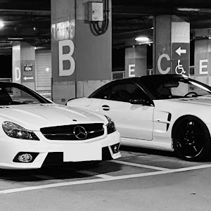 SL SL500