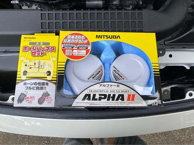 カローラツーリングの#カローラツーリング・#W×B・#モデリスタ・DIY・アルファーホーンに関するカスタム事例の投稿画像1枚目
