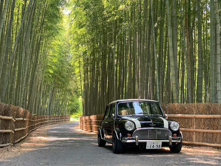 ミニクーパー1.3の竹林と愛車・憩いの場所を大切にしましょう！・地元のボランティアで整備された竹林・地元の大切な癒しの場所・和洋折衷に関するカスタム事例の投稿画像3枚目