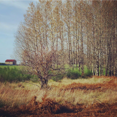 La casa nella prateria di sere.sergi