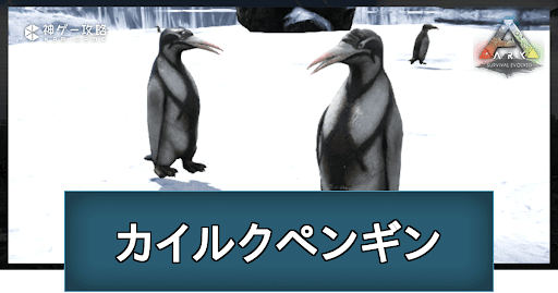 カイルクペンギン