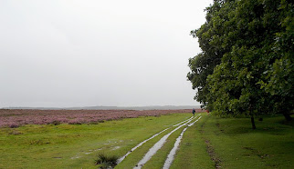 Jammer van de regen, het had zo mooi kunnen zijn.