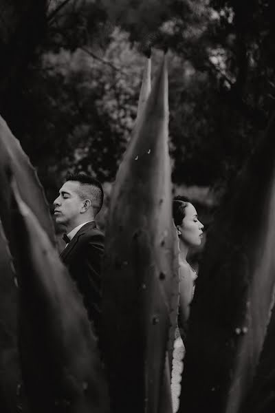 Fotografo di matrimoni Fernando Capetillo (fercapetillo). Foto del 27 aprile