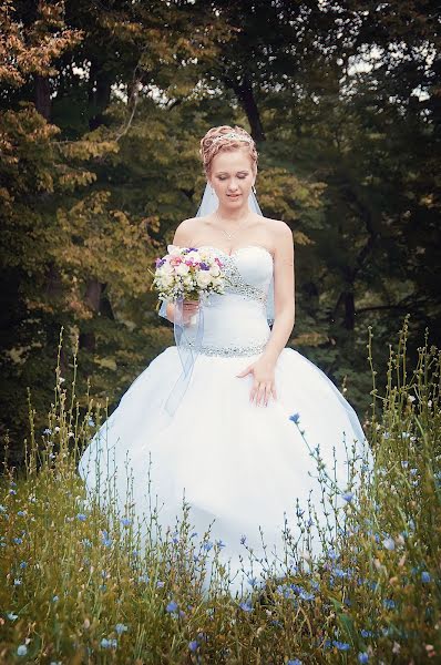 Wedding photographer Darya Miroshnikova (akta). Photo of 4 November 2013