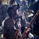 Lemmy live Chrome extension download