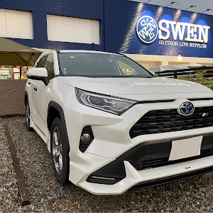 RAV4 AXAH52