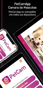 PetCam App – Monitor de Perro