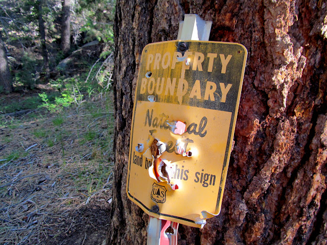 National forest boundary sign