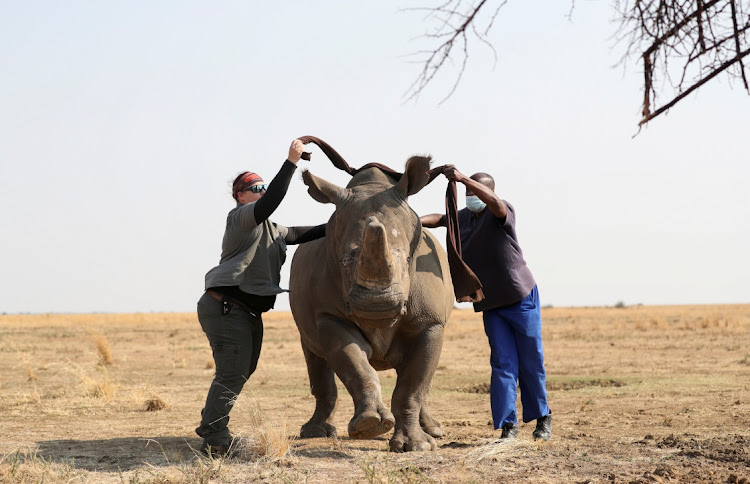 Picture: REUTERS/SIPHIWE SIBEKO