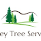 “Surrey Tree Services”的产品徽标图片