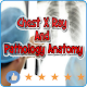 Download Chest X Ray And Pathology Anatomy For PC Windows and Mac 1.2