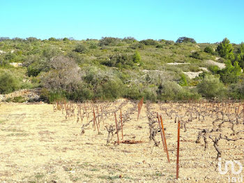 terrain à Fitou (11)