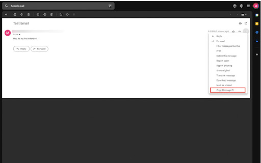 Copy Gmail Message-Id