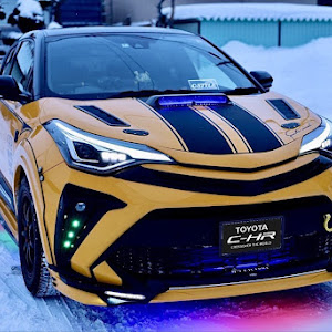 C-HR NGX10