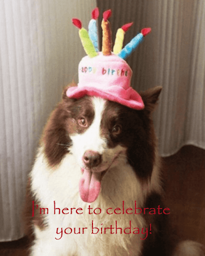 Belated Birthday Wishes