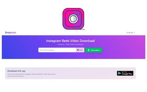 Instagram Reels Video Download