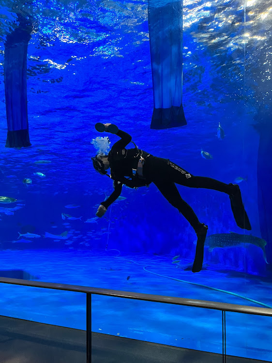 グレイスの桜島・いおワールドかごしま水族館に関するカスタム事例の投稿画像9枚目